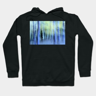 dreamscape Hoodie